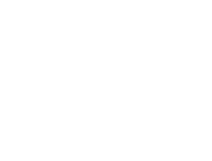 04_Grey_Goose_WHITE